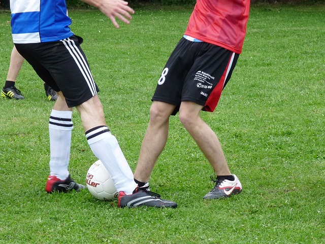 和预防体系 和预防体系