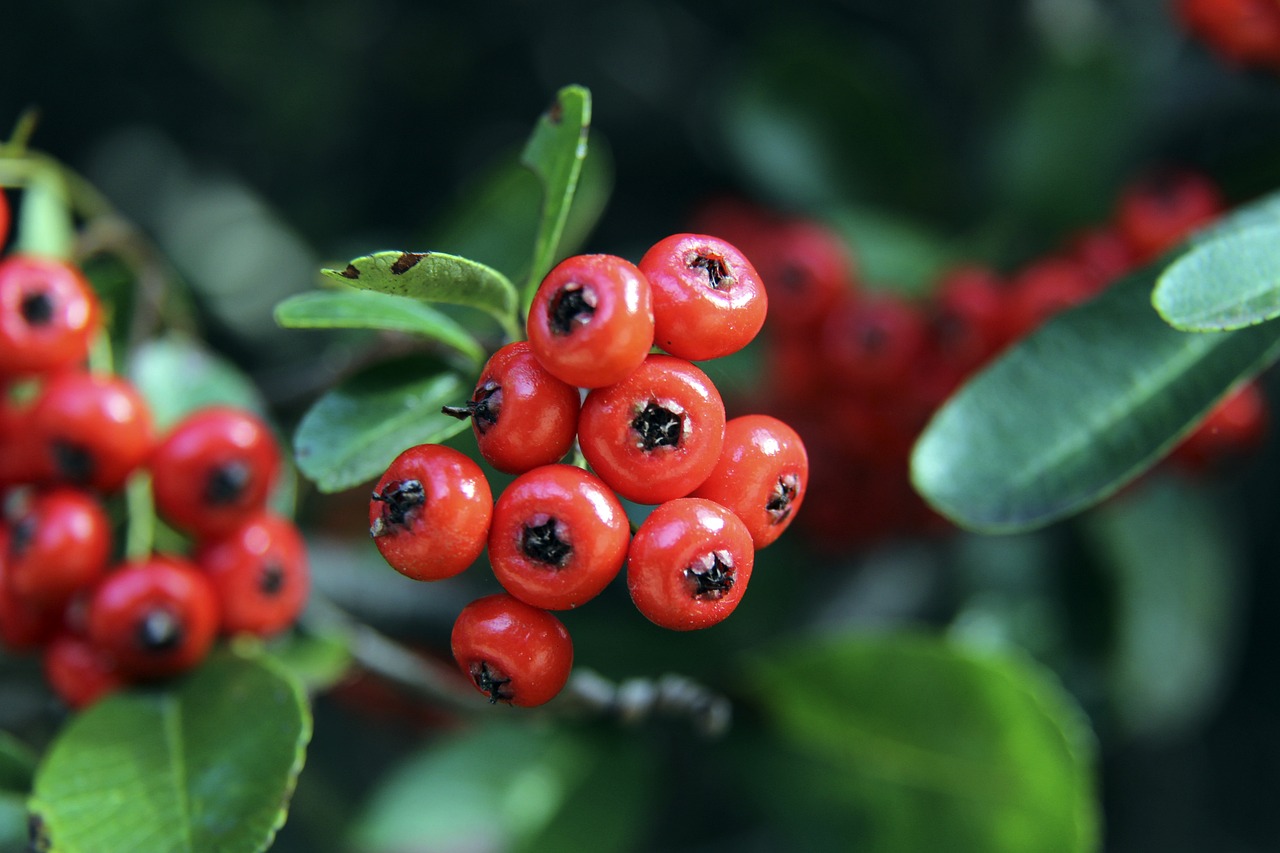 以某國際運 以某國際運